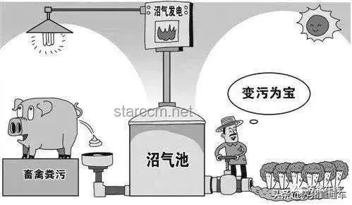高考钉子户的坚持：公共资源利用的新视角？